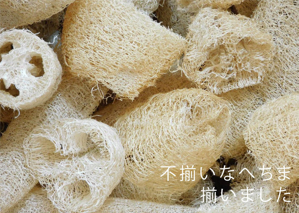 imperfect-scourer_cat.jpg?v=