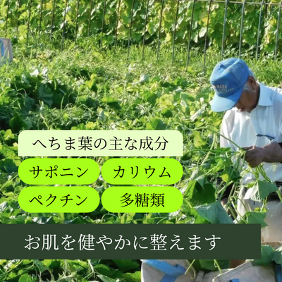 非添加<br>茶皂