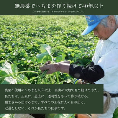 国産へちま馬油クリーム