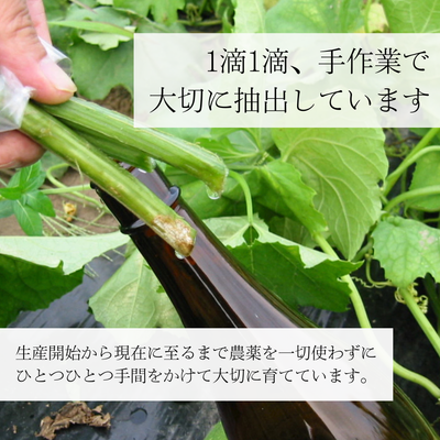 chi水100％<br>chi洗剂