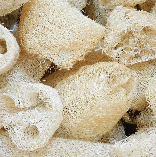 訳あり「へちまたわし」３個入